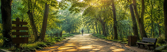  Beautiful walking trail through nature with clear path visibility