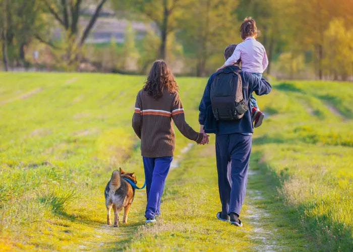 6 Simple Tips to Maximize your Walking Routine